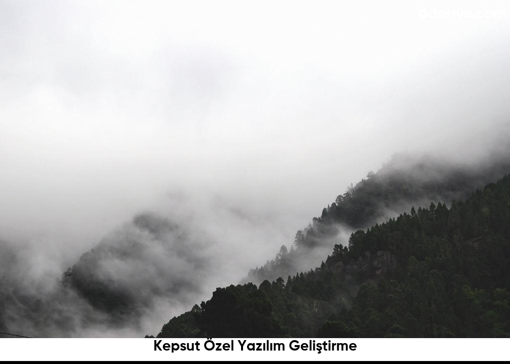 Kepsut Özel Yazılım Geliştirme6