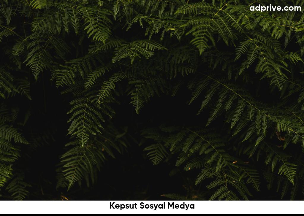 Kepsut Sosyal Medya6