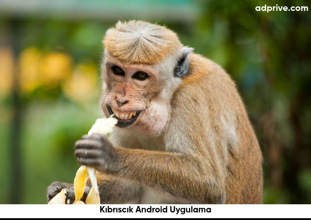 Kıbrıscık Android Uygulama6