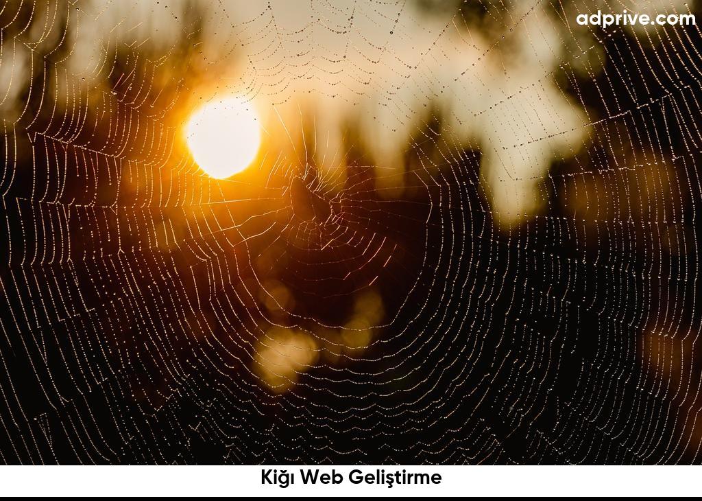 Kiğı Web Geliştirme6