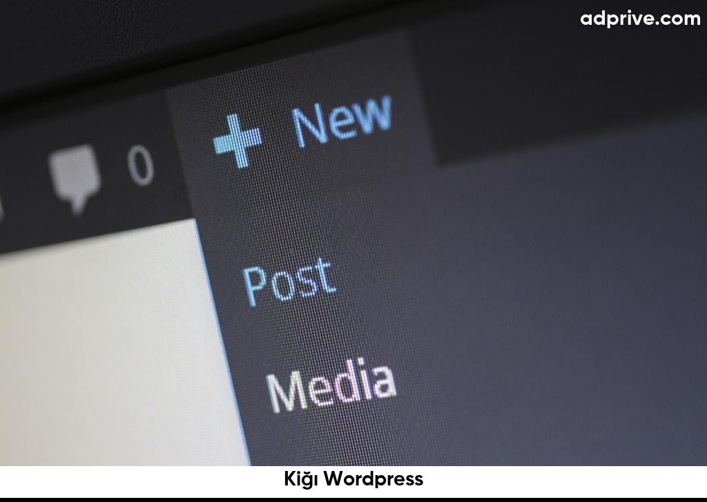 Kiğı Wordpress6