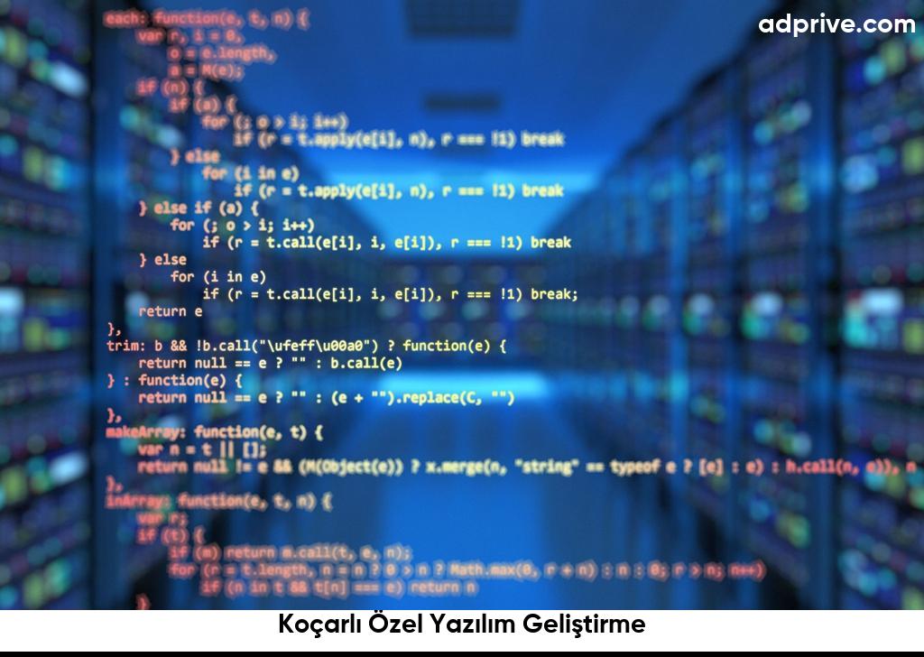 Koçarlı Özel Yazılım Geliştirme6