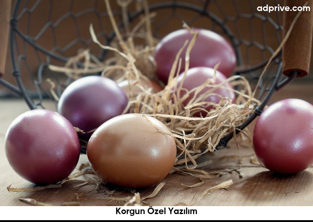 Korgun Özel Yazılım6