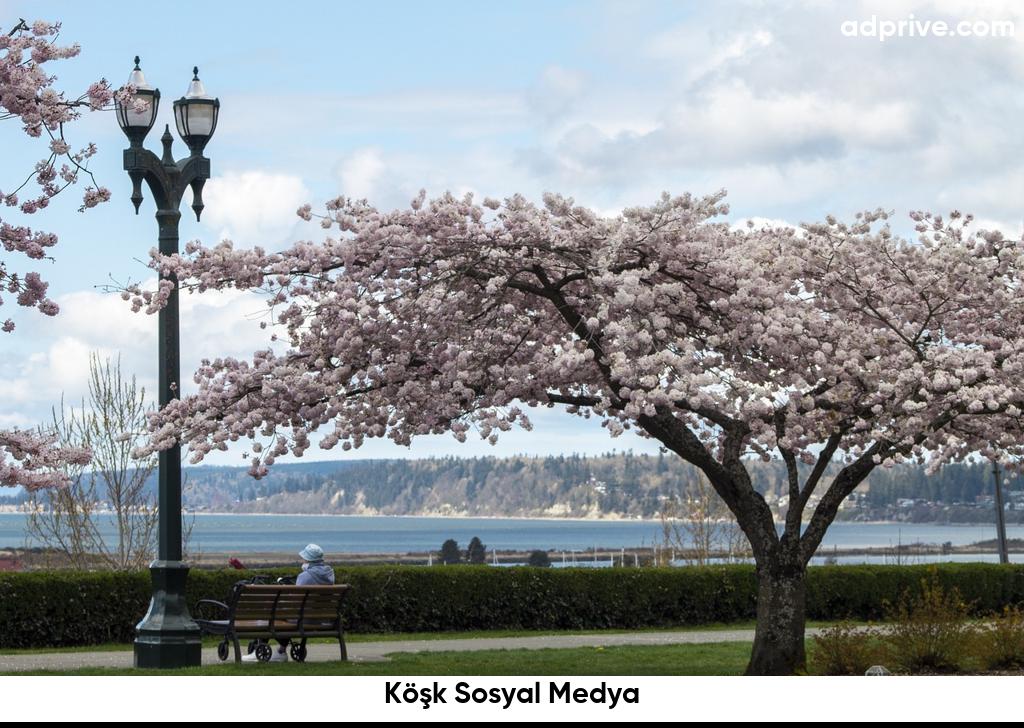 Köşk Sosyal Medya6