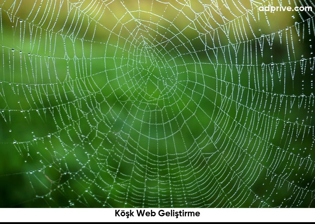 Köşk Web Geliştirme6