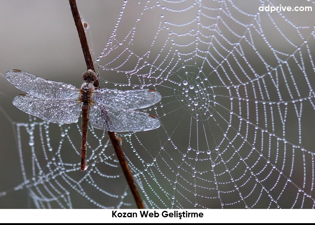 Kozan Web Gelistirme6