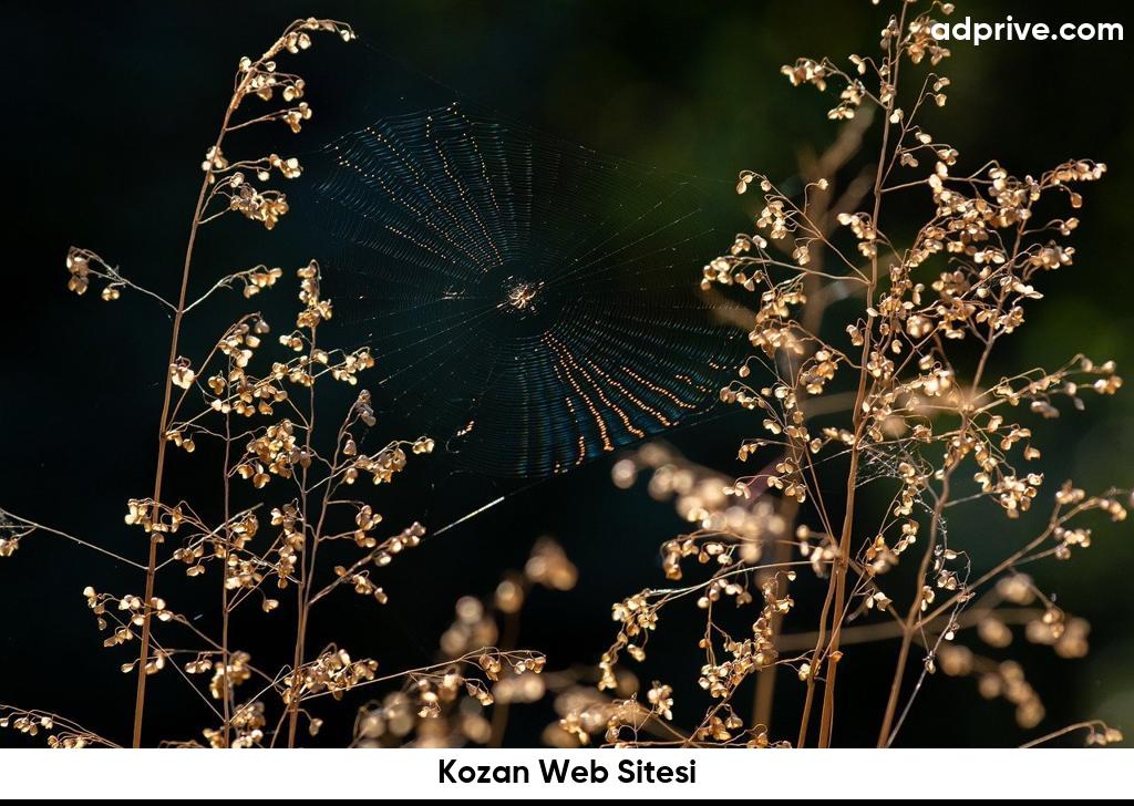 Kozan Web Sitesi6