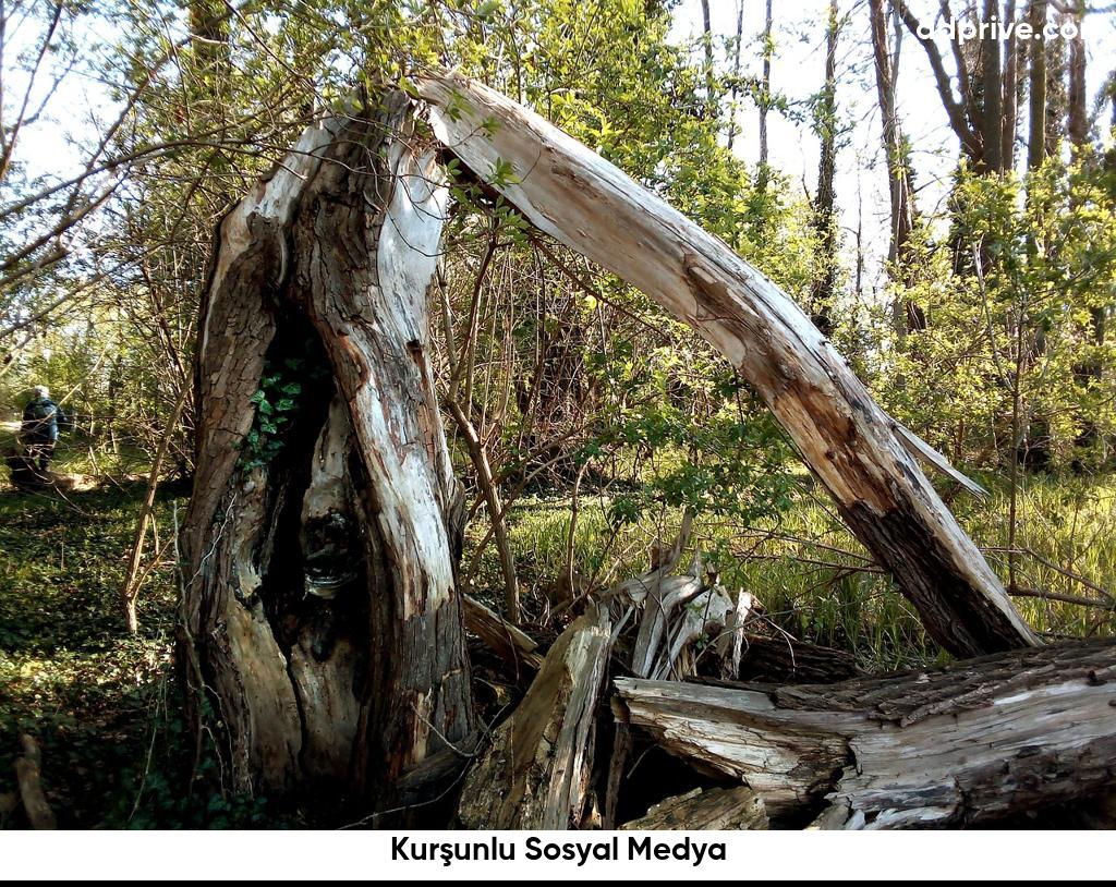 Kurşunlu Sosyal Medya6