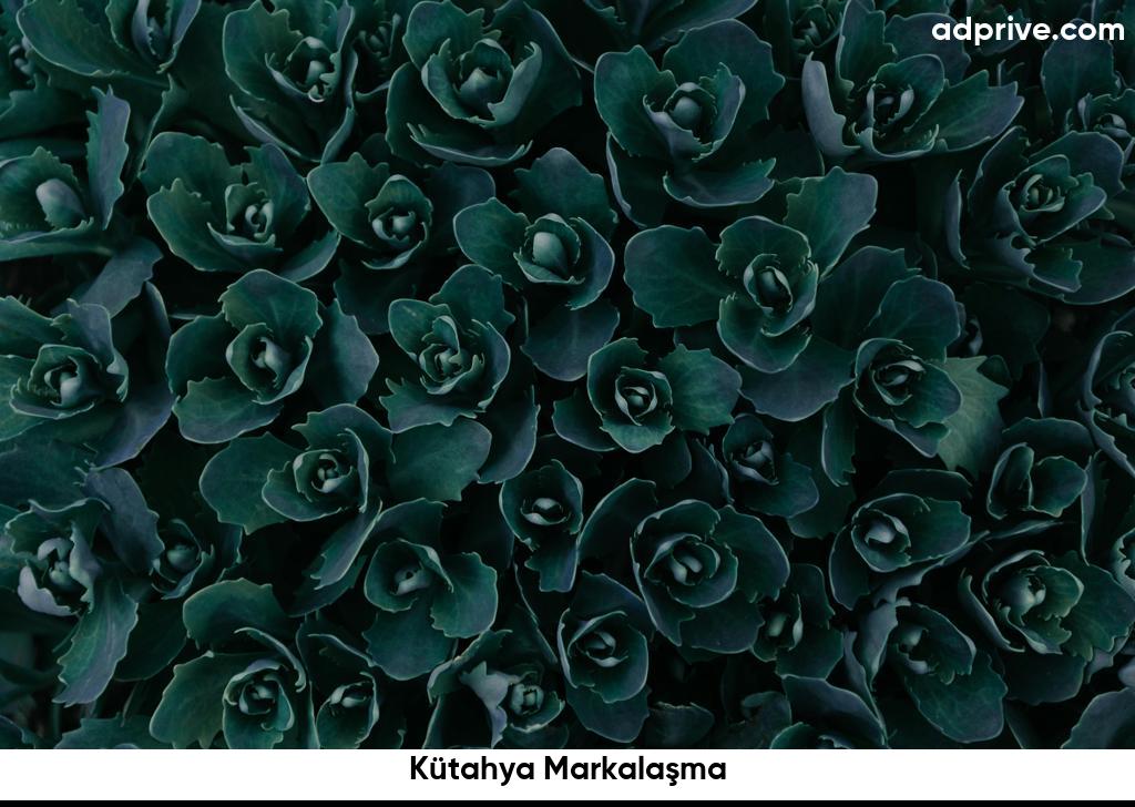 Kutahya Markalasma6