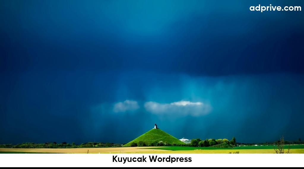 Kuyucak Wordpress6