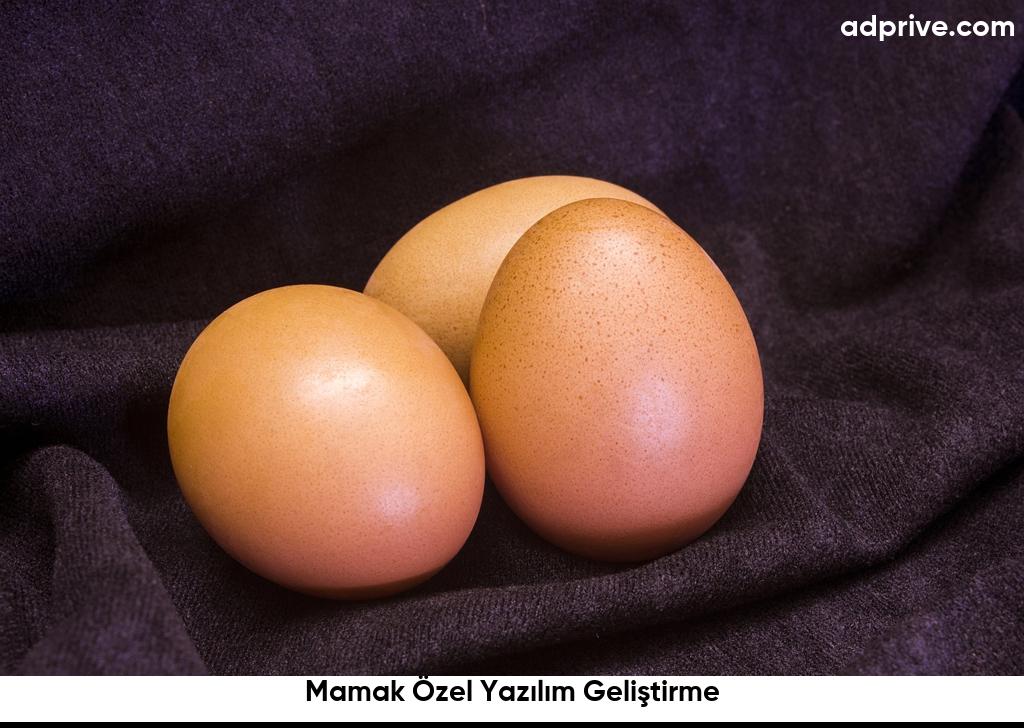 Mamak Özel Yazılım Geliştirme6