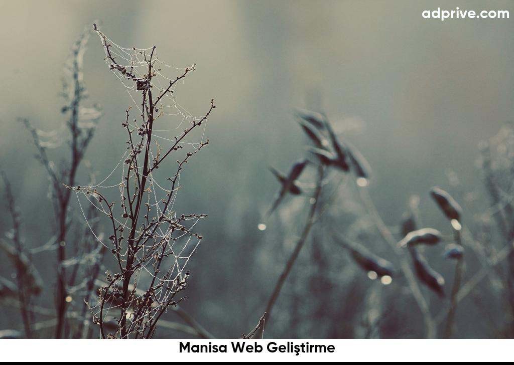 Manisa Web Gelistirme6