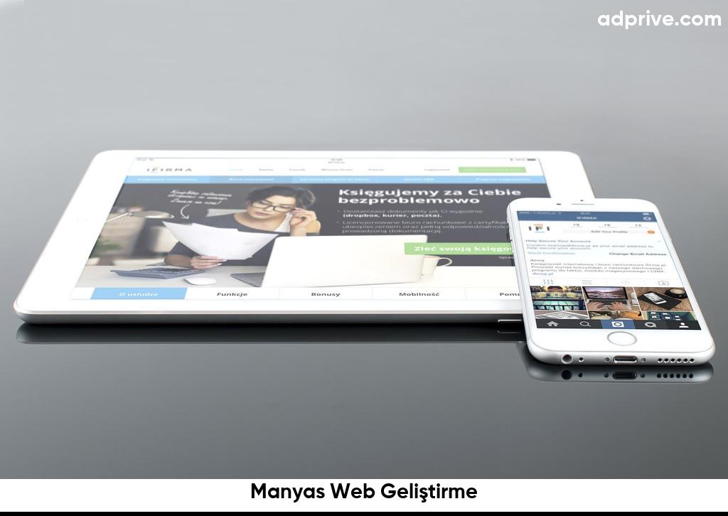 Manyas Web Geliştirme6