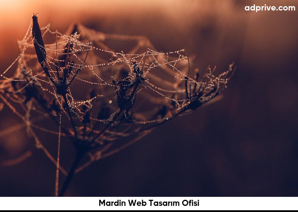 Mardin Web Tasarim Ofisi6