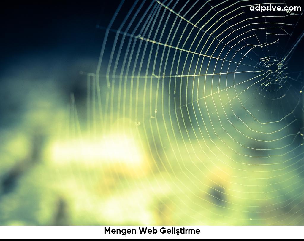 Mengen Web Geliştirme6