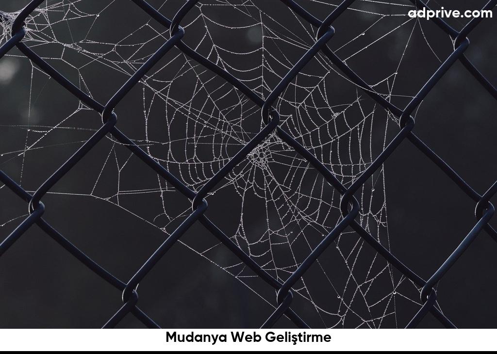 Mudanya Web Geliştirme6