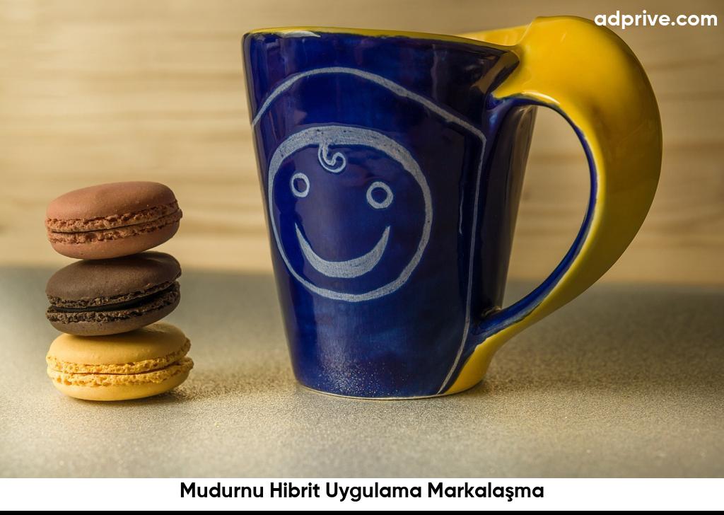 Mudurnu Hibrit Uygulama Markalaşma6