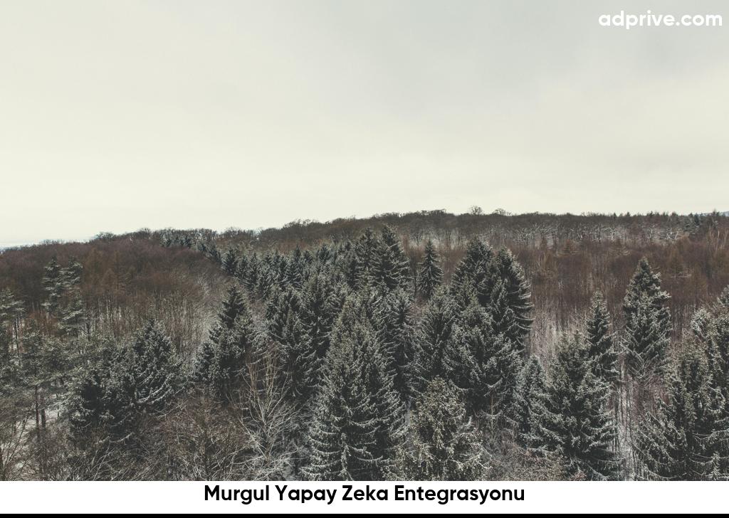 Murgul Yapay Zeka Entegrasyonu6