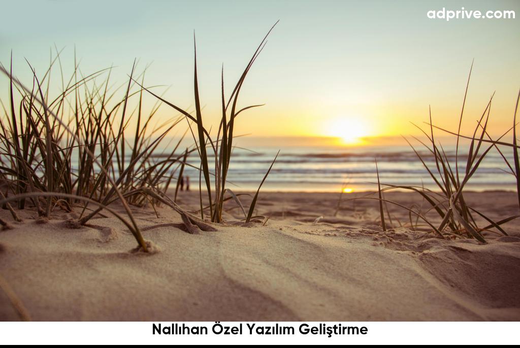 Nallıhan Özel Yazılım Geliştirme6