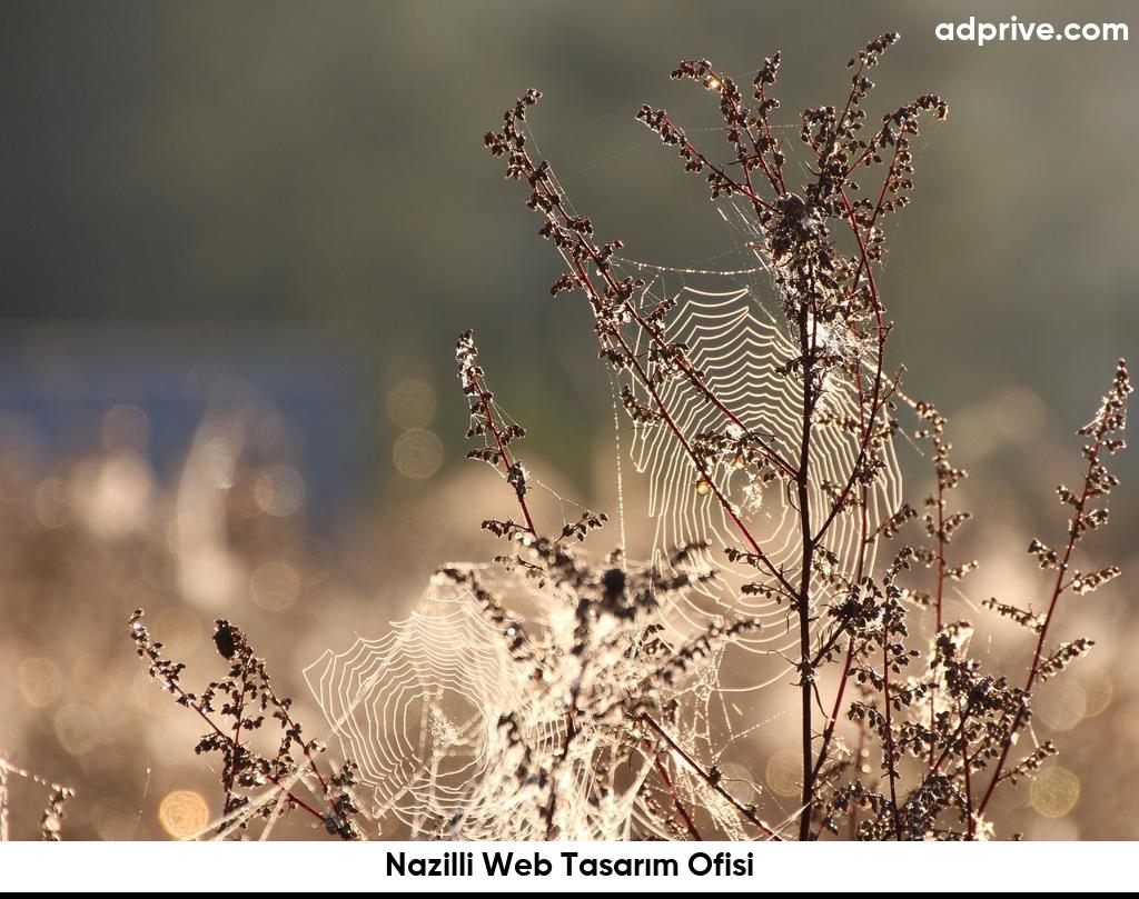 Nazilli Web Tasarım Ofisi6