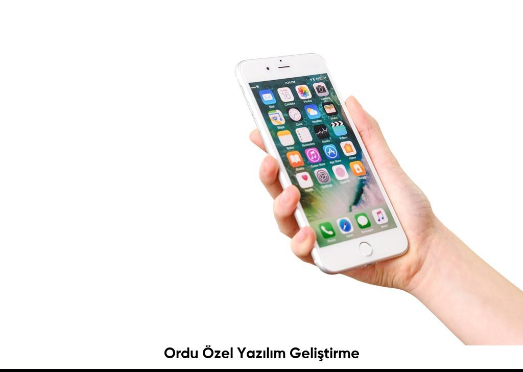 Ordu Ozel Yazilim Gelistirme6