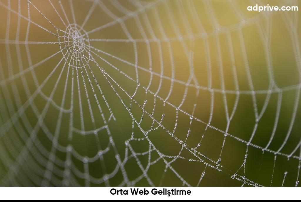 Orta Web Geliştirme6