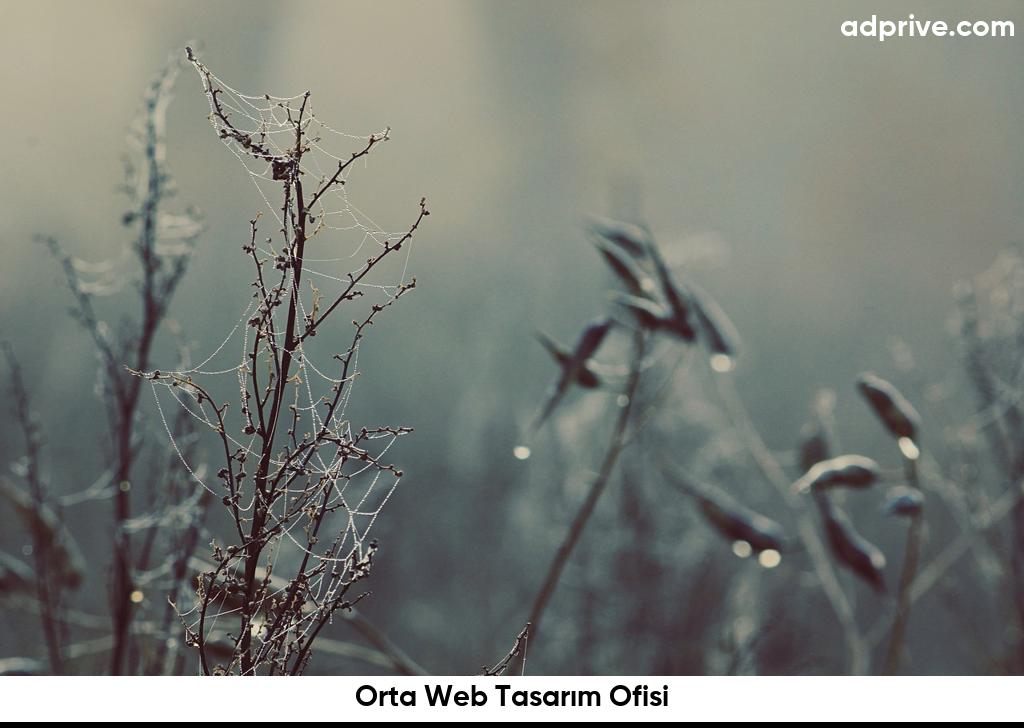 Orta Web Tasarım Ofisi6