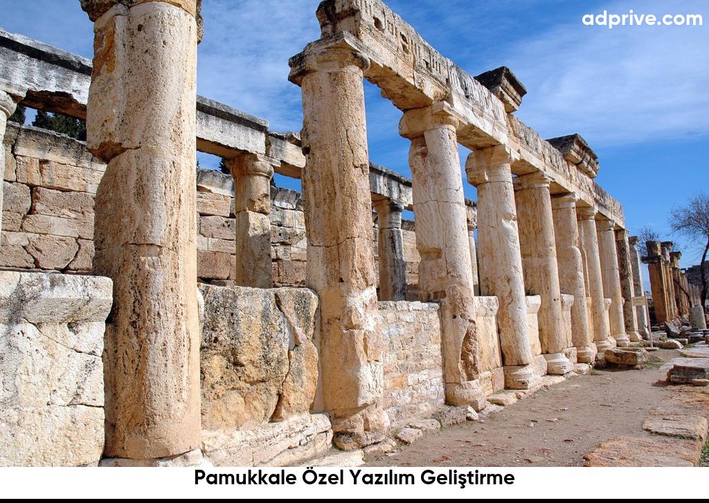 Pamukkale Özel Yazılım Geliştirme6