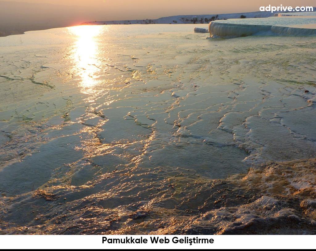 Pamukkale Web Geliştirme6