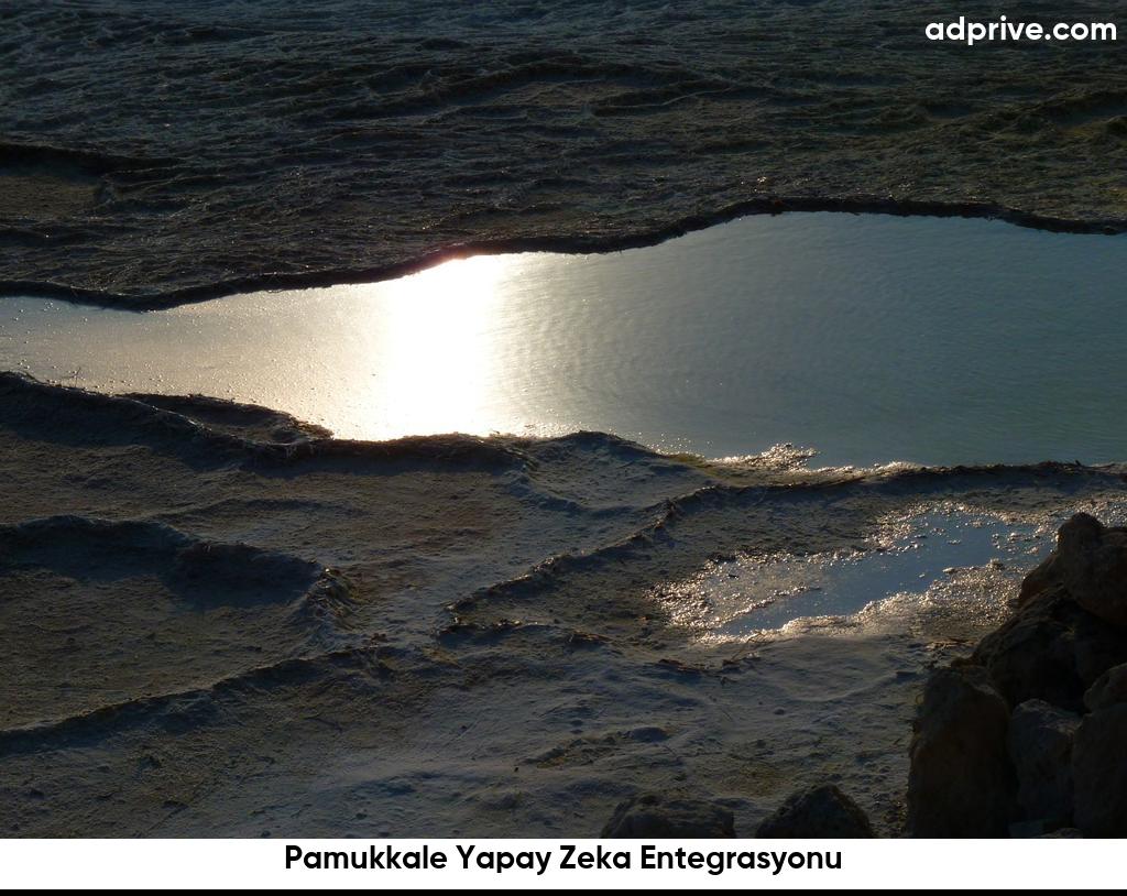 Pamukkale Yapay Zeka Entegrasyonu6