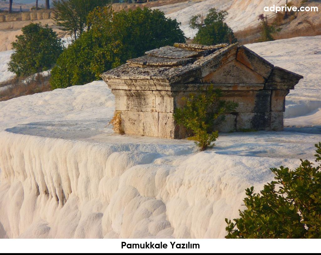 Pamukkale Yazılım6