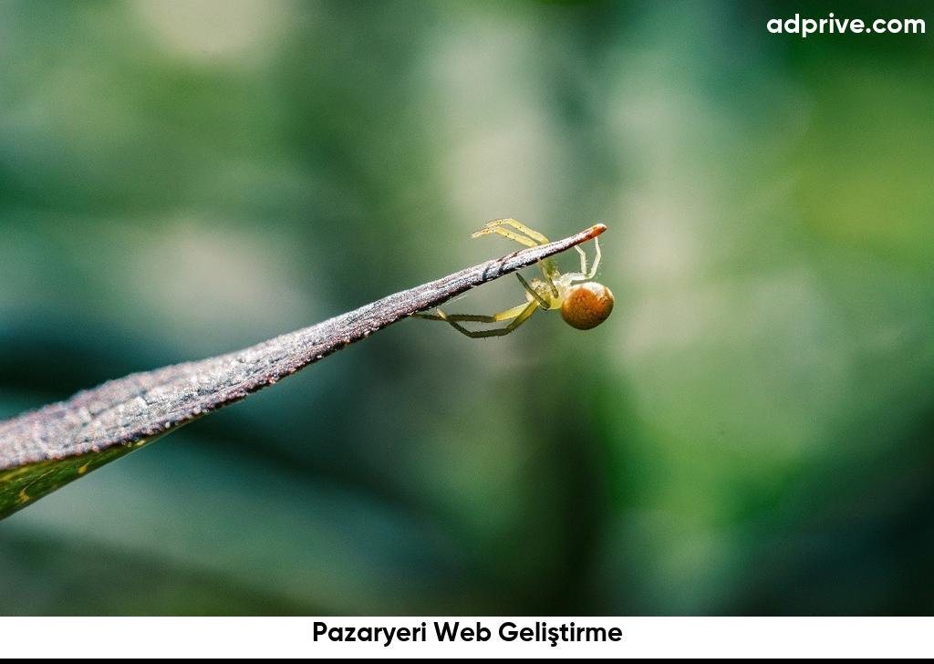 Pazaryeri Web Geliştirme6