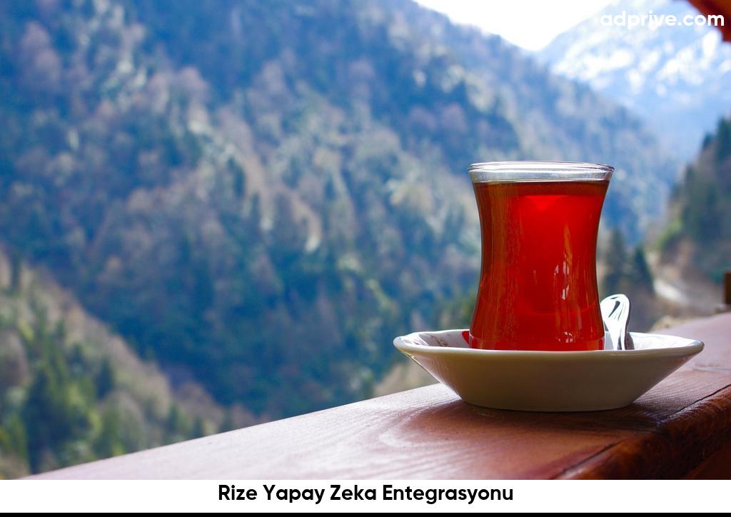 Rize Yapay Zeka Entegrasyonu6