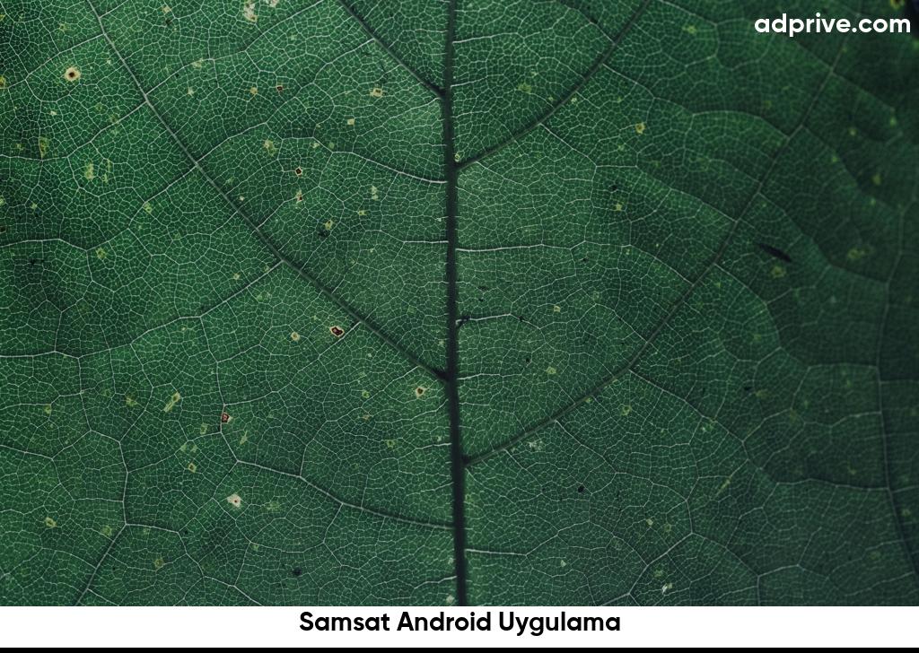 Samsat Android Uygulama6