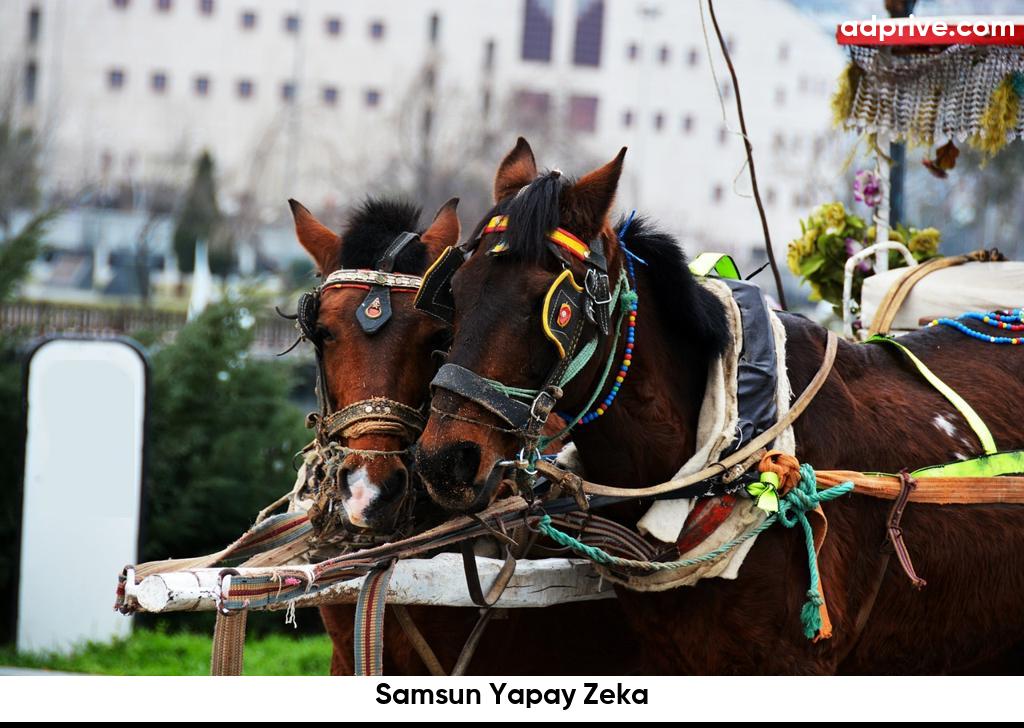 Samsun Yapay Zeka6