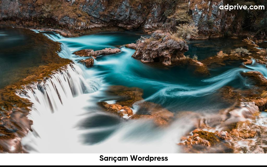 Saricam Wordpress6