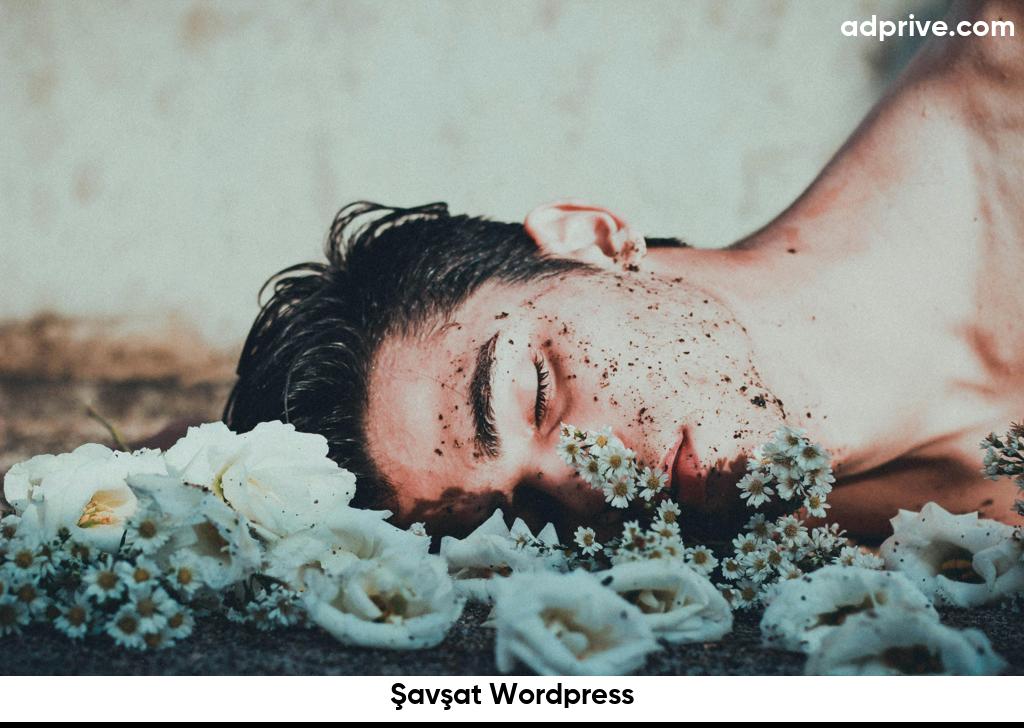 Şavşat Wordpress6