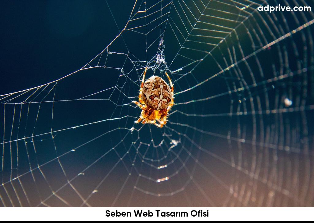 Seben Web Tasarım Ofisi6