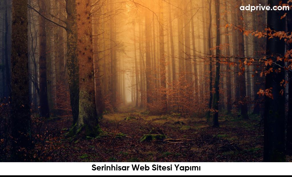 Serinhisar Web Sitesi Yapımı6