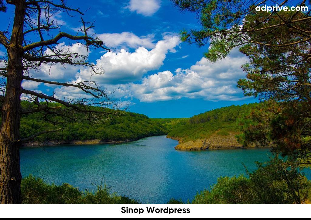 Sinop Wordpress6