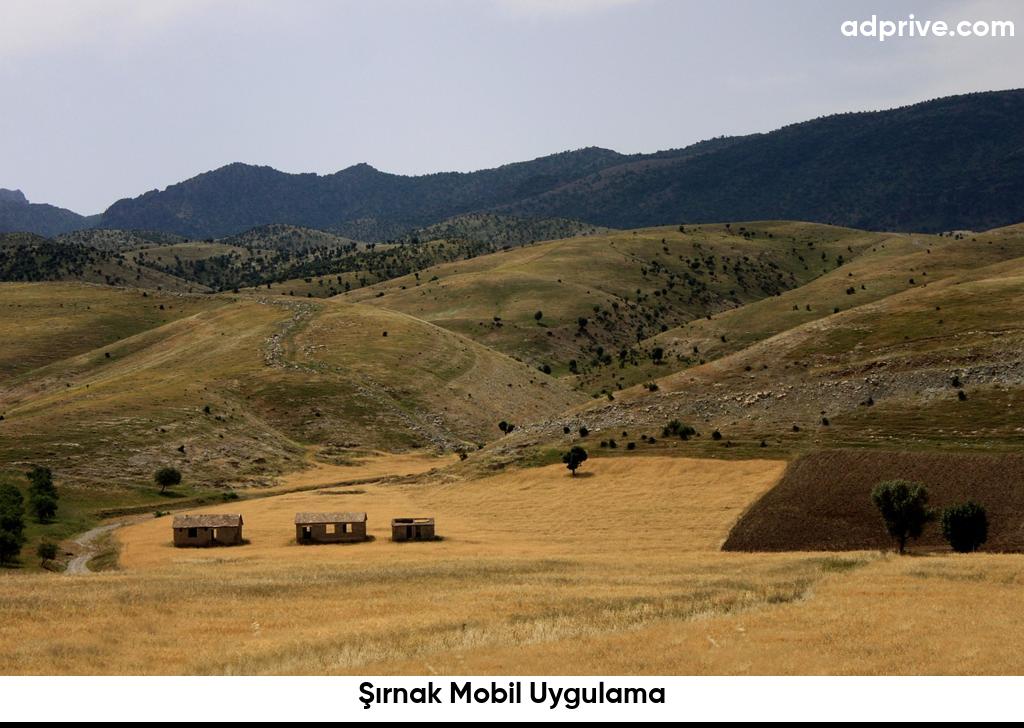 Sirnak Mobil Uygulama6