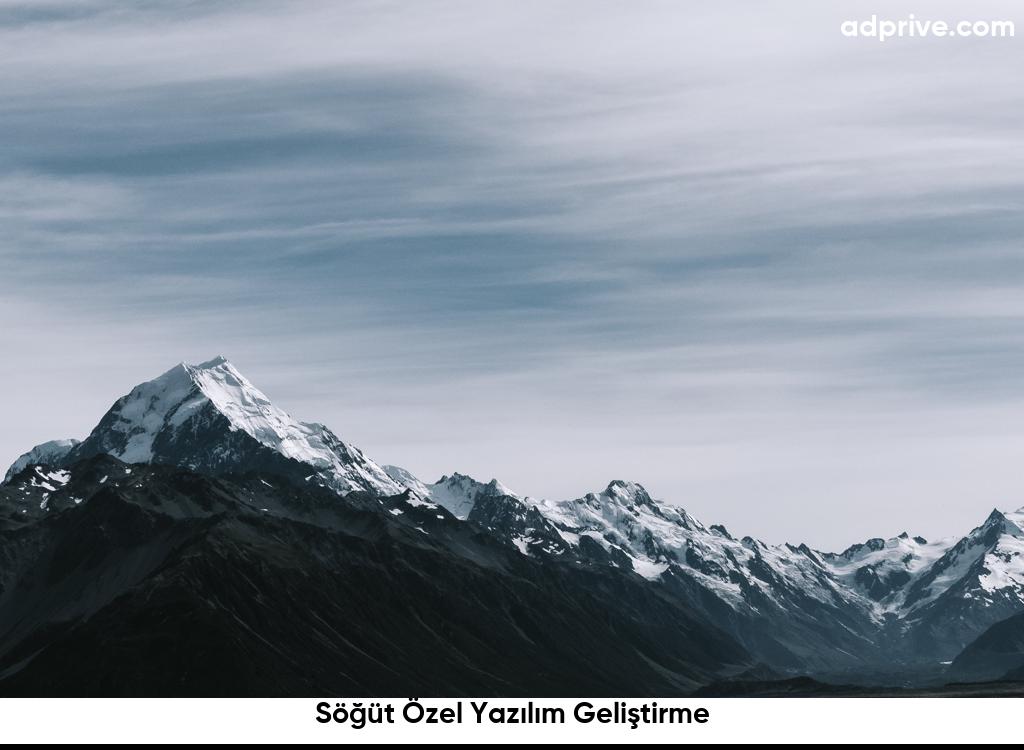 Söğüt Özel Yazılım Geliştirme6