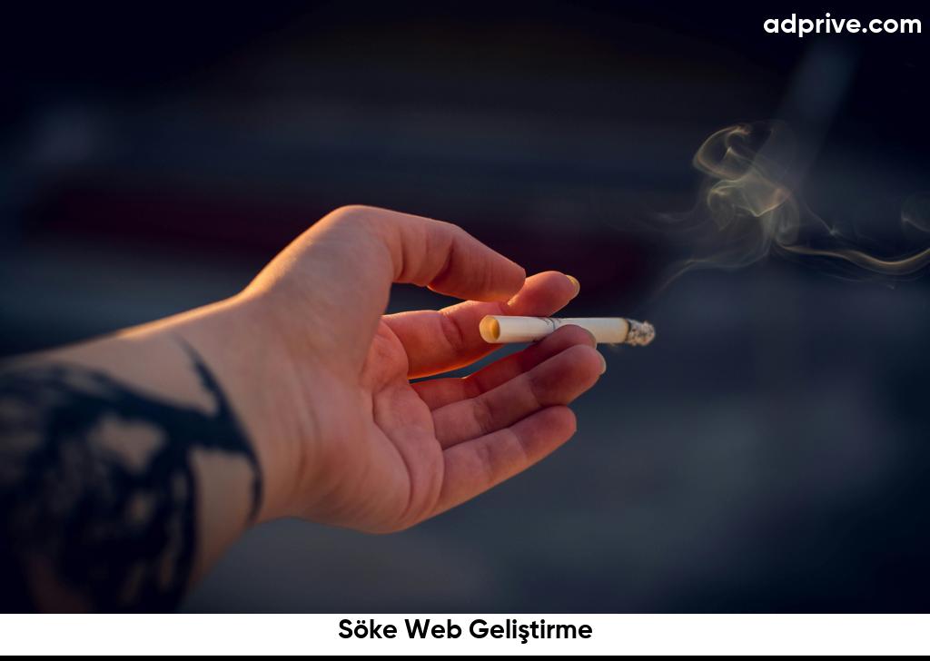 Söke Web Geliştirme6