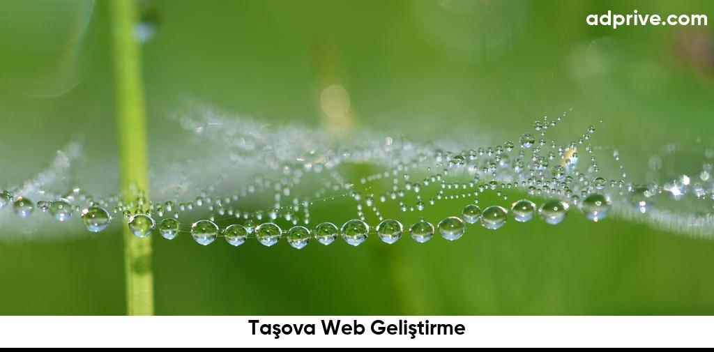 Taşova Web Geliştirme6