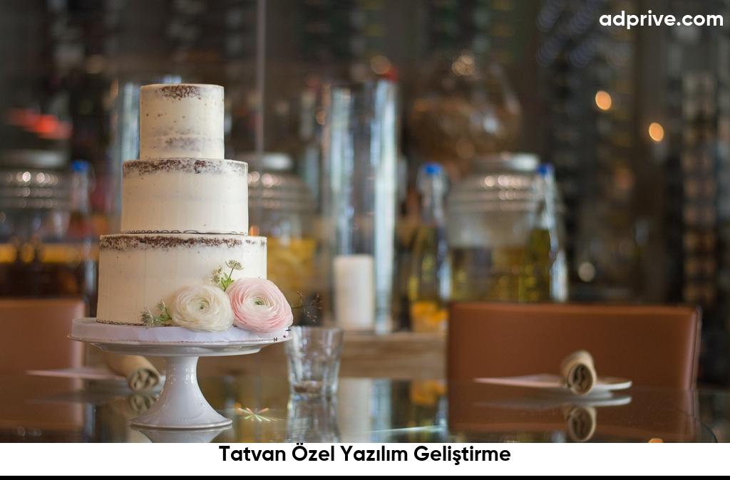 Tatvan Özel Yazılım Geliştirme6