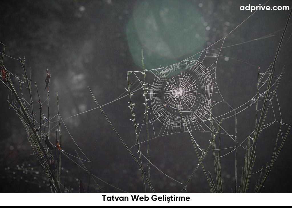 Tatvan Web Geliştirme6