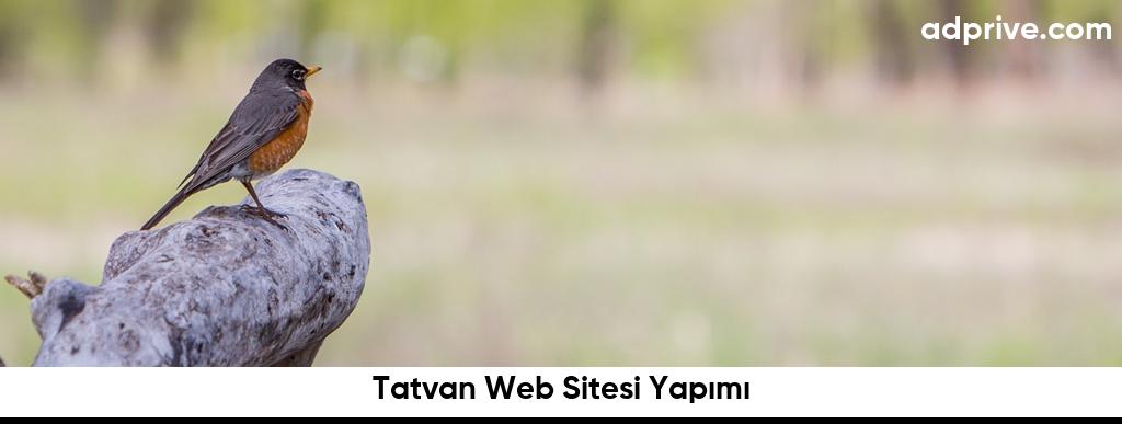 Tatvan Web Sitesi Yapımı6