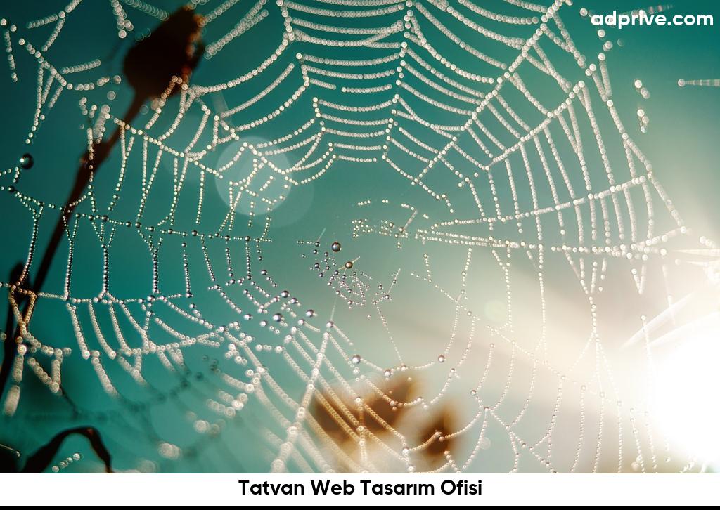 Tatvan Web Tasarım Ofisi6