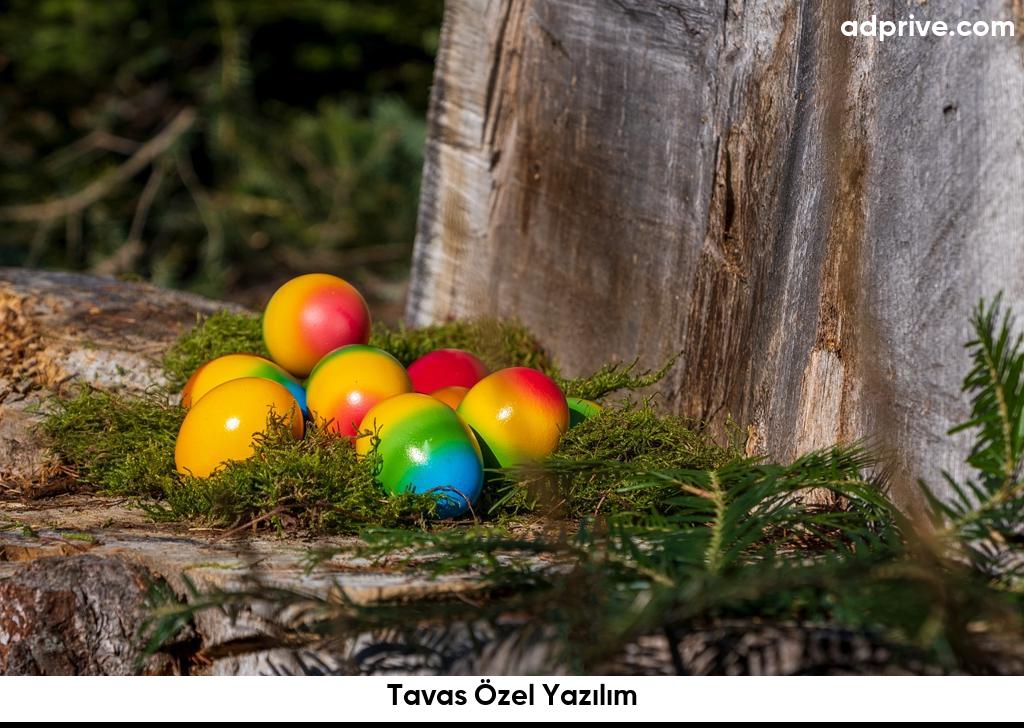 Tavas Özel Yazılım6