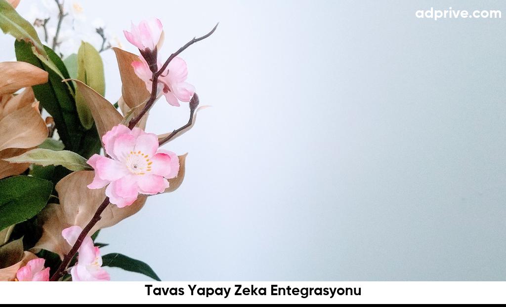 Tavas Yapay Zeka Entegrasyonu6